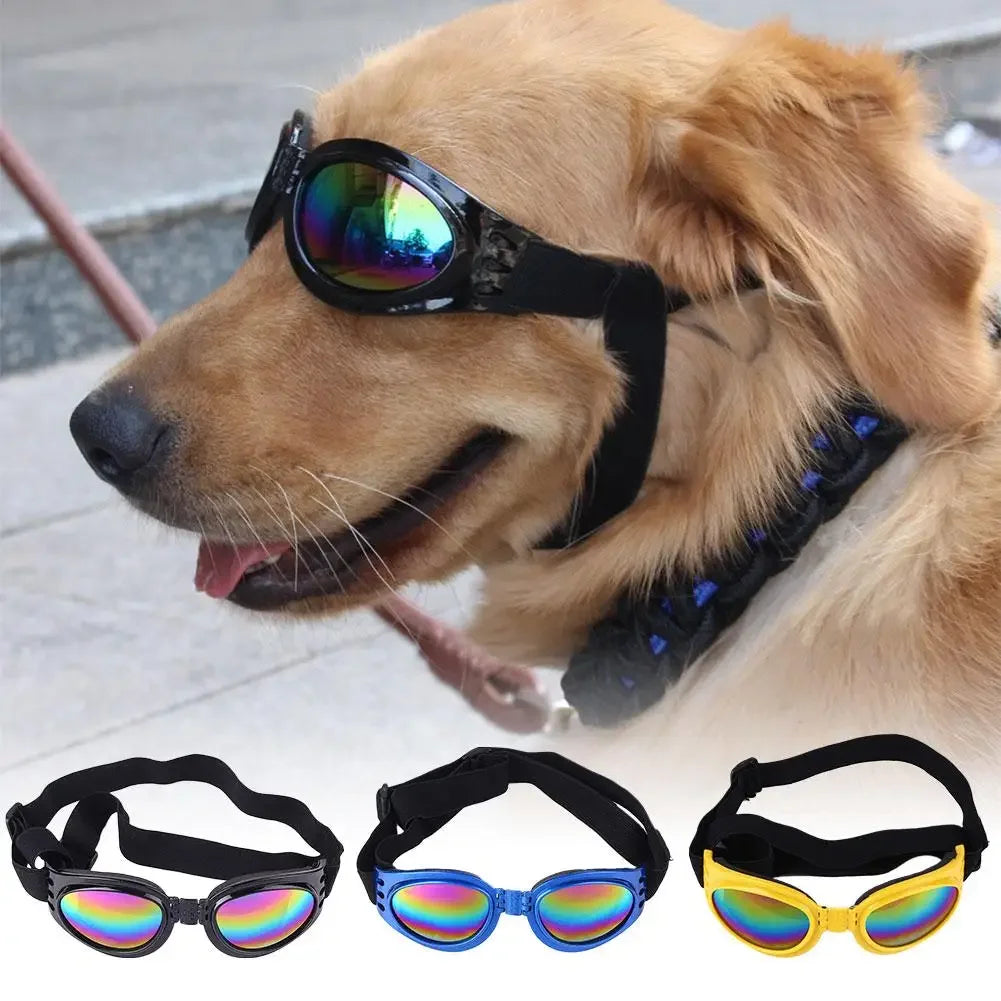 Pet sunglasses