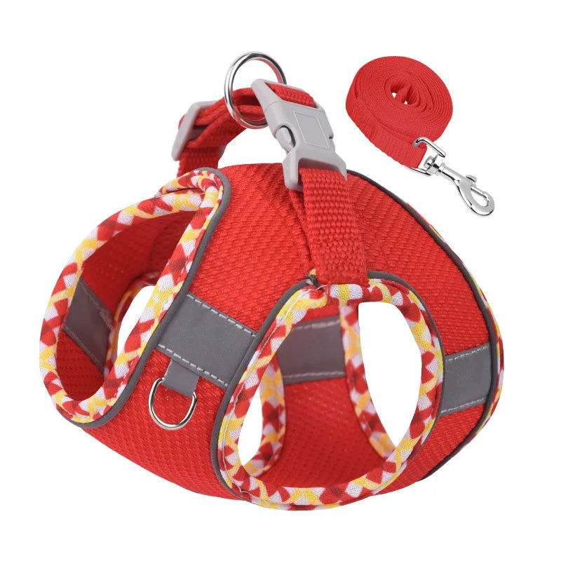 Outdoors Harness and Leash Set for Small Medium Dogs