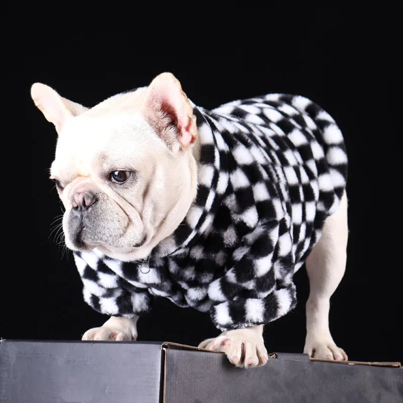 Stylish checkered dog coat