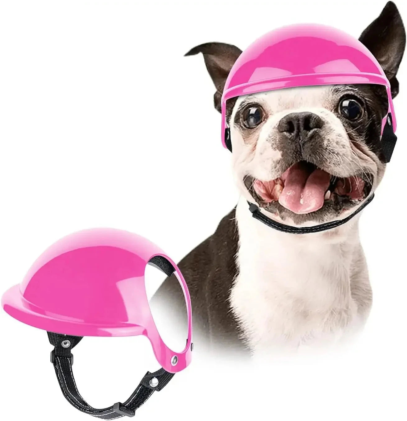 Canine Cruiser