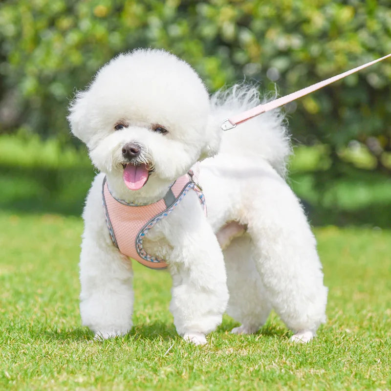 Outdoors Harness and Leash Set for Small Medium Dogs