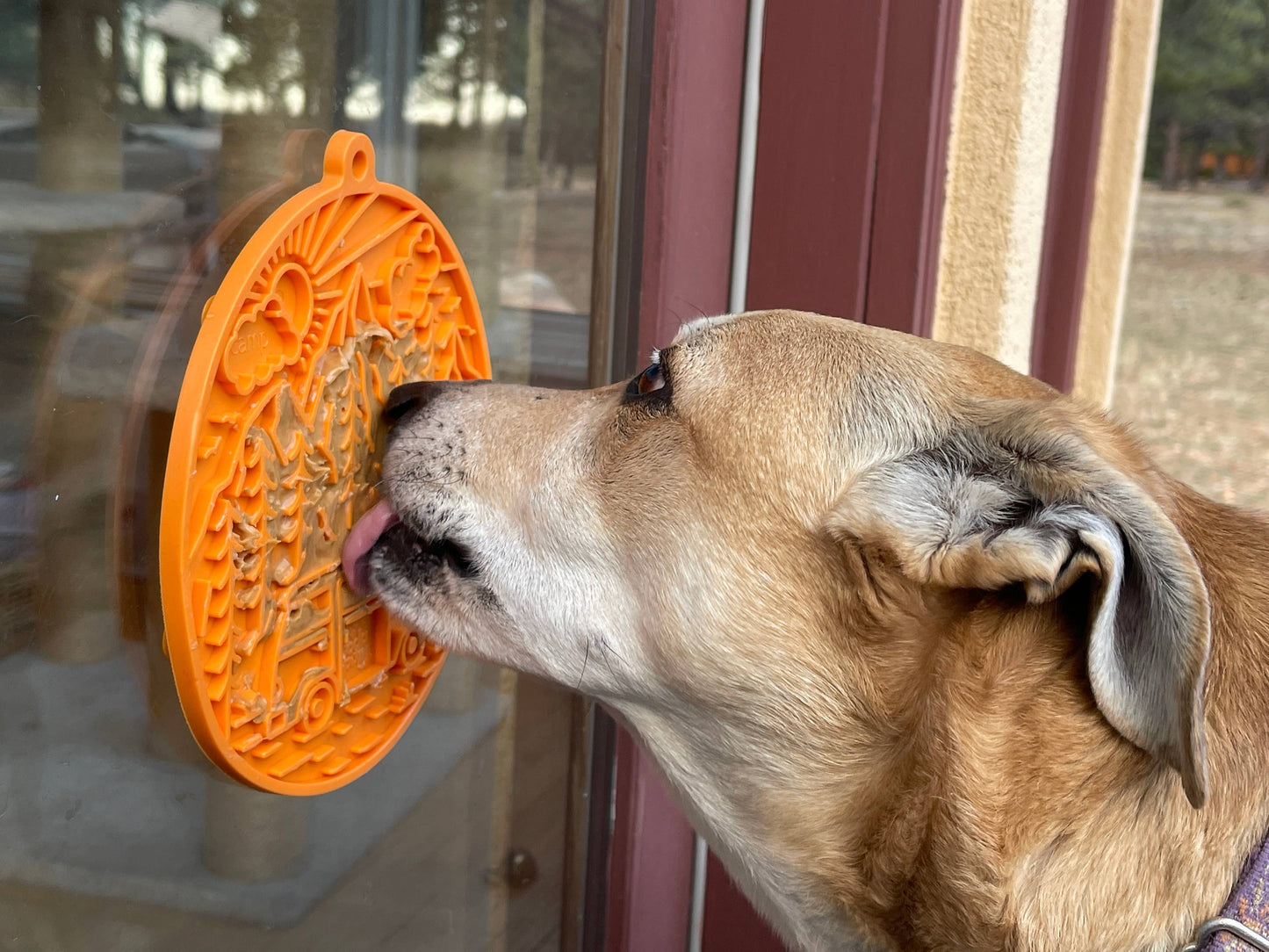 Orange Camp eMat Enrichment Lick Mat With Suction Cups: