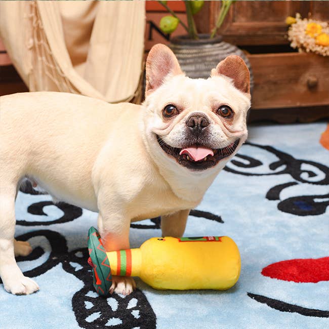 HugSmart Pet - Fiesta Chewsday | Tequila - Dog Plush Toy