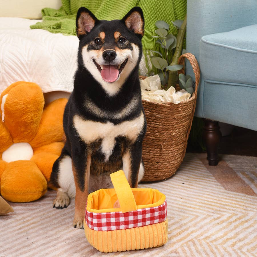 HugSmart Pet - Picnic Time | Picnic Basket - Interactive Toy