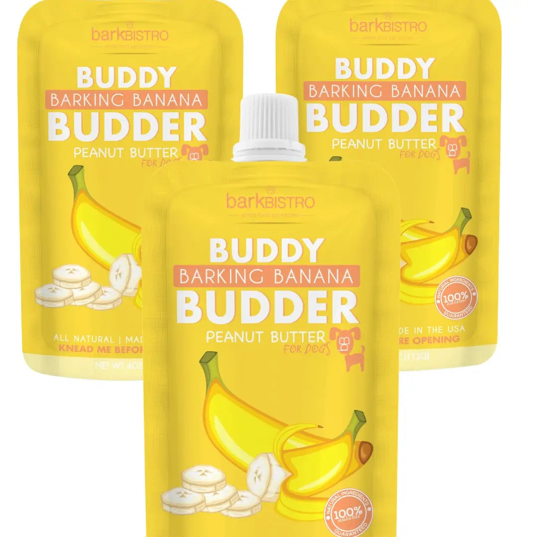 Healthy Dog Peanut Butter BANANA Squeeze -One pack