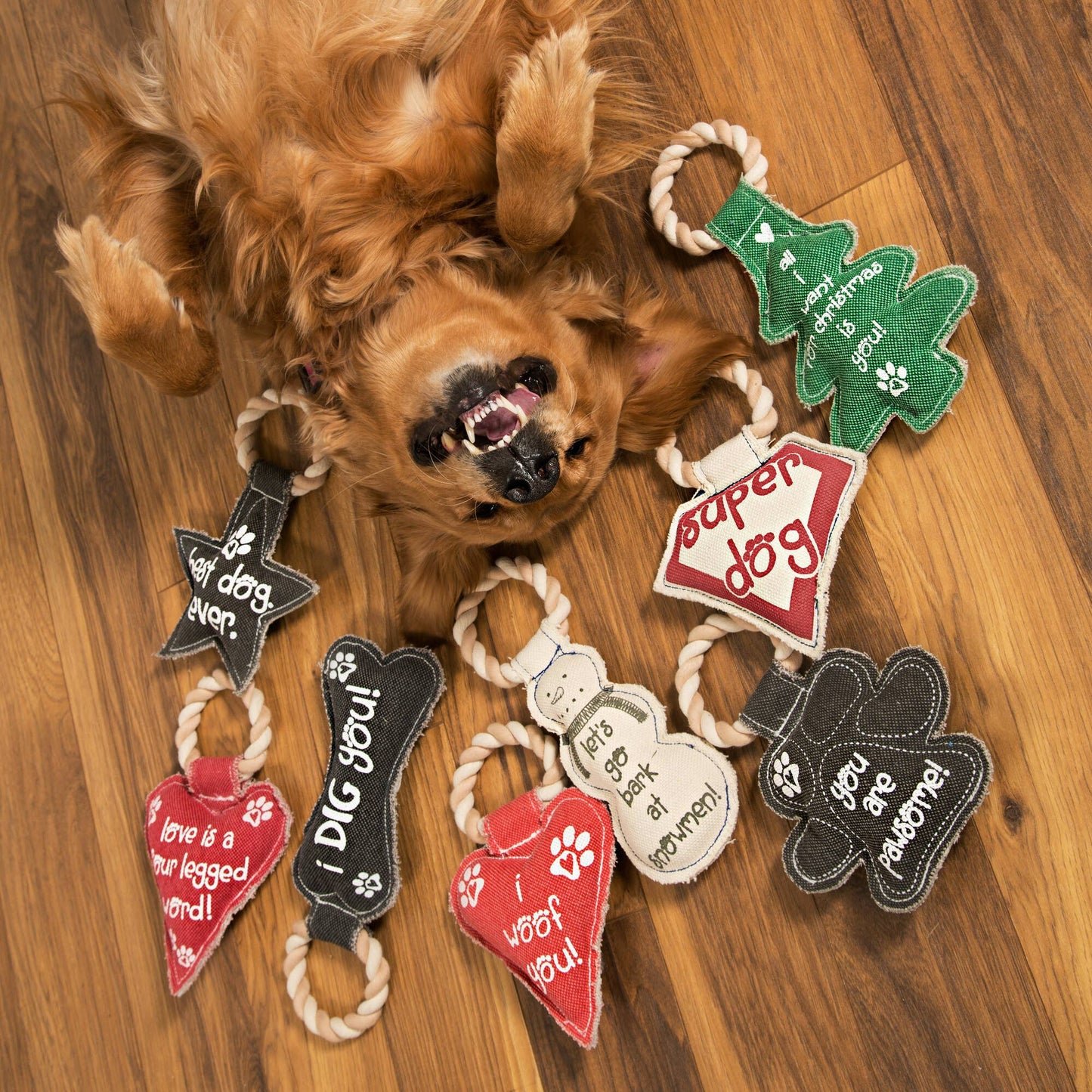 NEW! Best Dog Ever - 9.5" Canvas Dog Toy on Rope