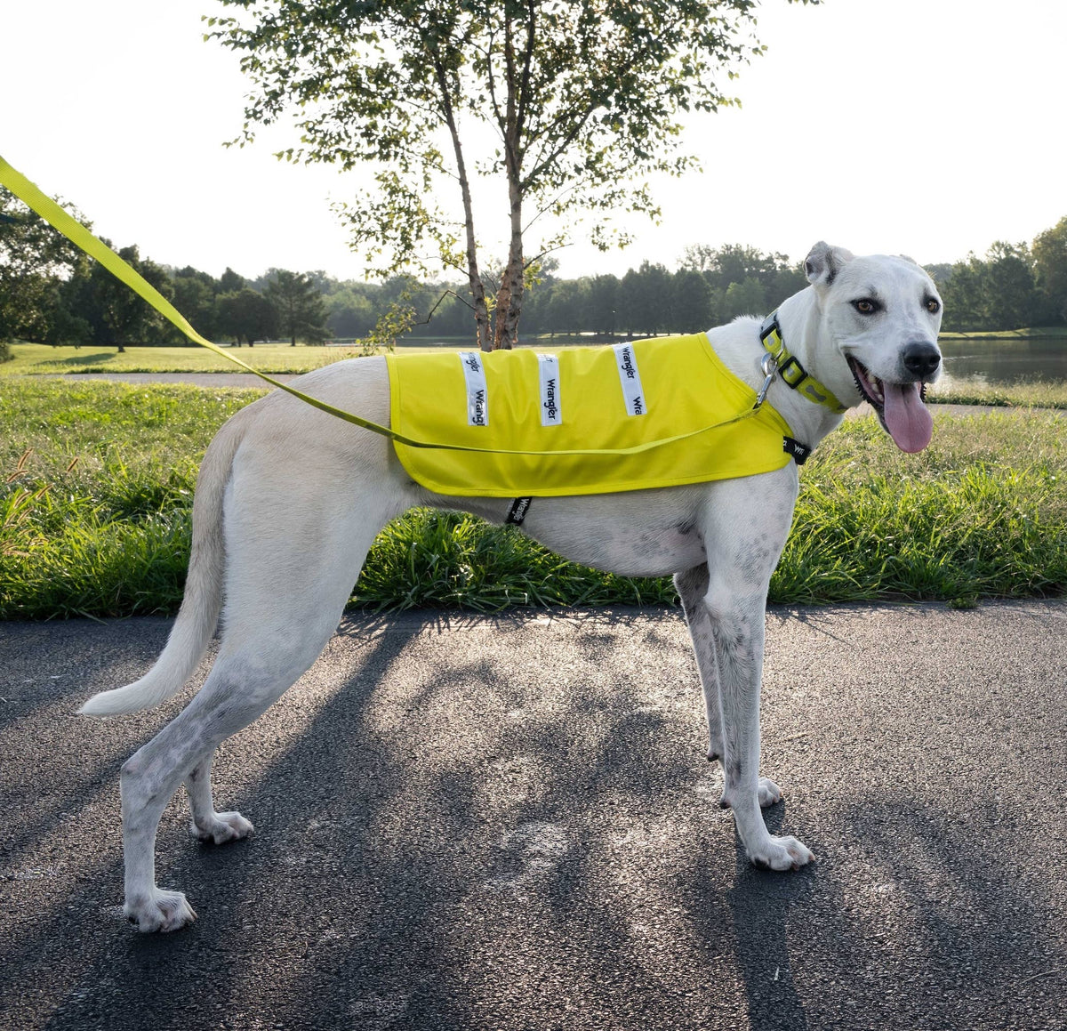 Wrangler Hi Vis Lightweight Safety Vest