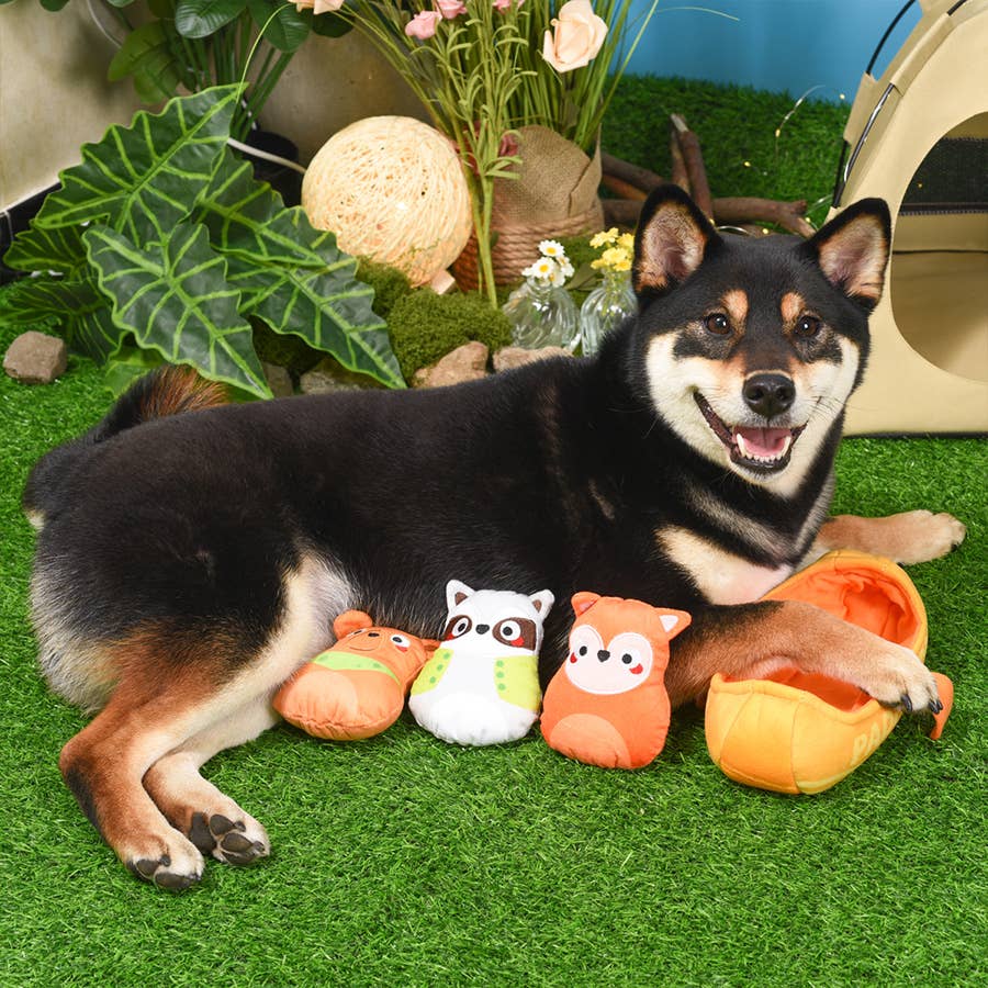 HugSmart Pet - Camping Pups | Kayak