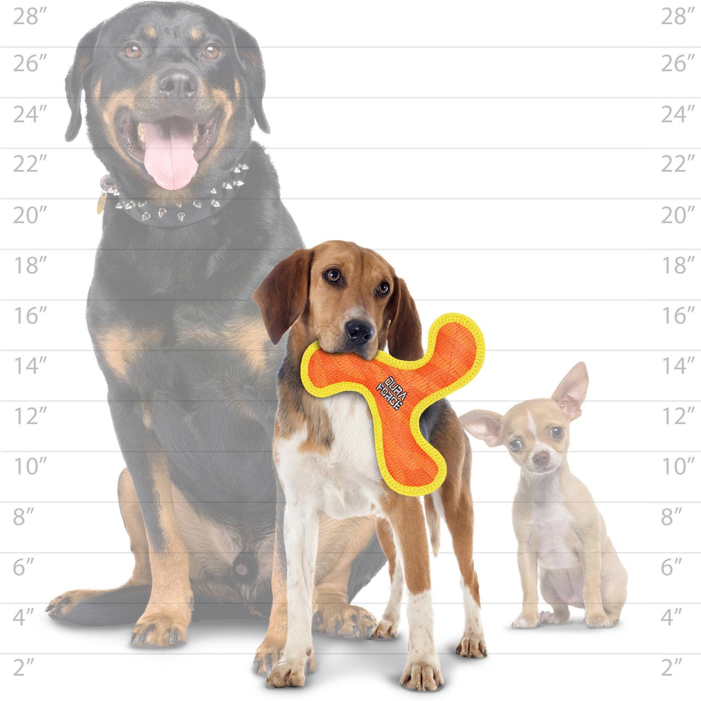 DuraForce Boomerang - Orange- JUNIOR