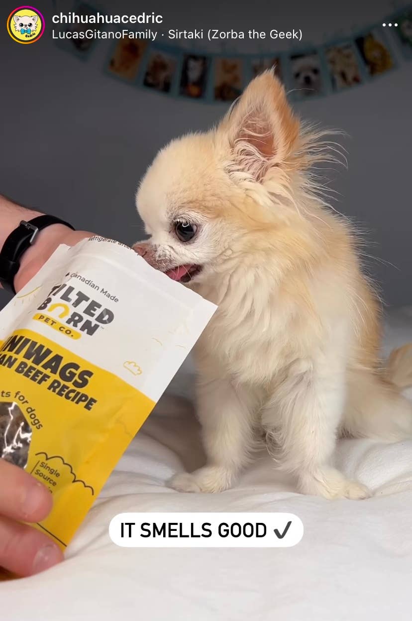 Beef Miniwags Treats For Dogs 100g/3.53oz