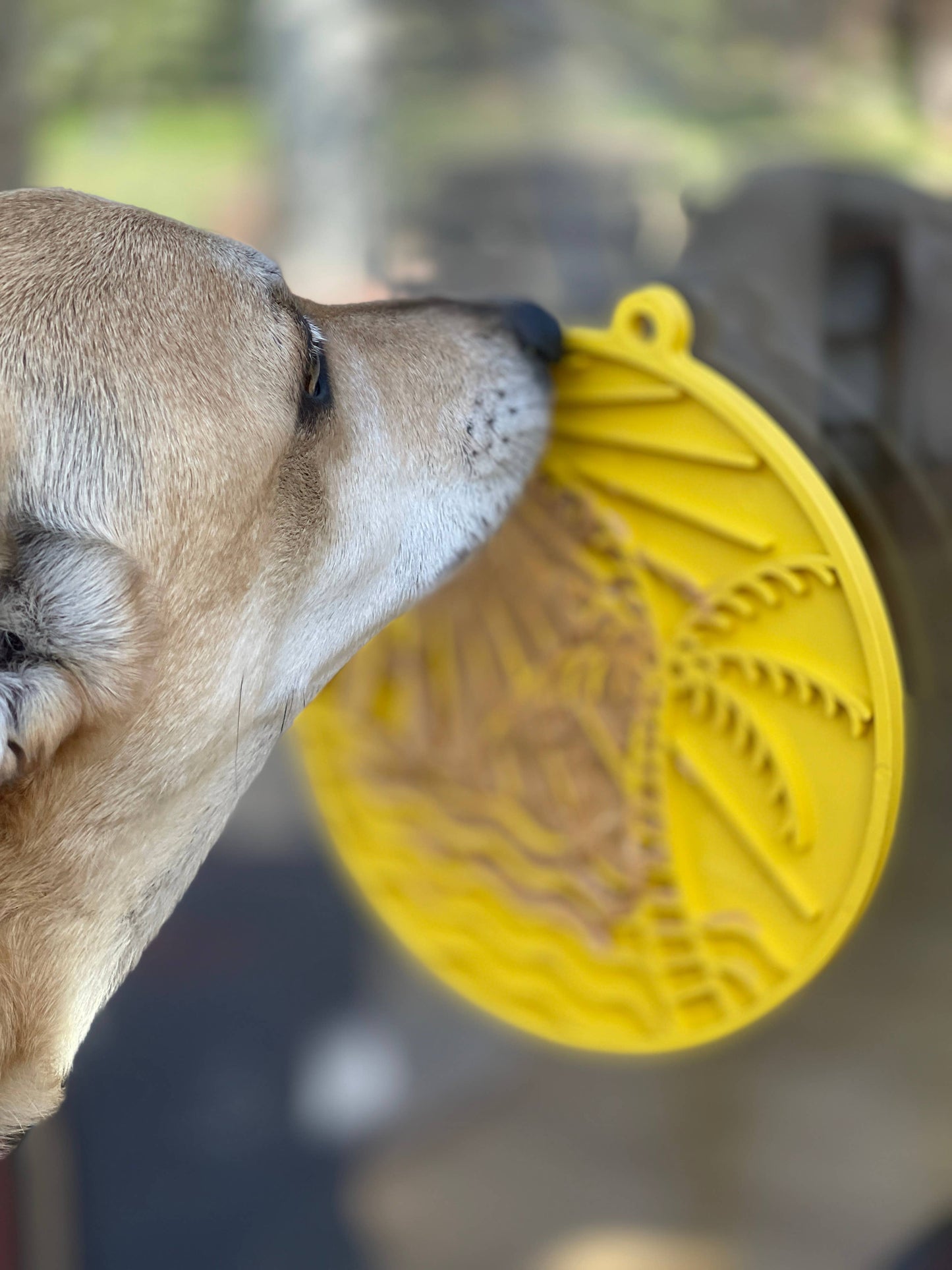 Sun n' Sea eMat Enrichment Lick Mat With Suction Cups: Yellow