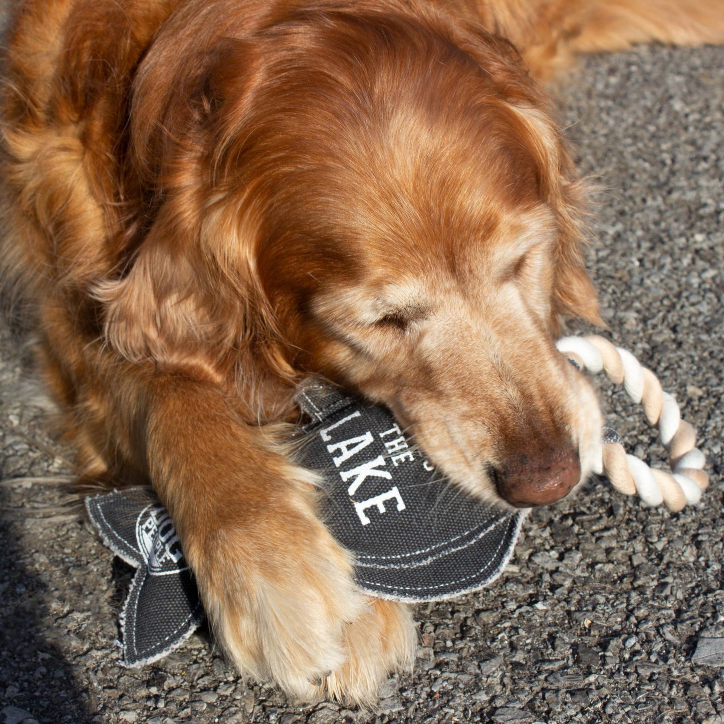NEW!! Lake Dog - 12" Canvas Dog Toy on Rope