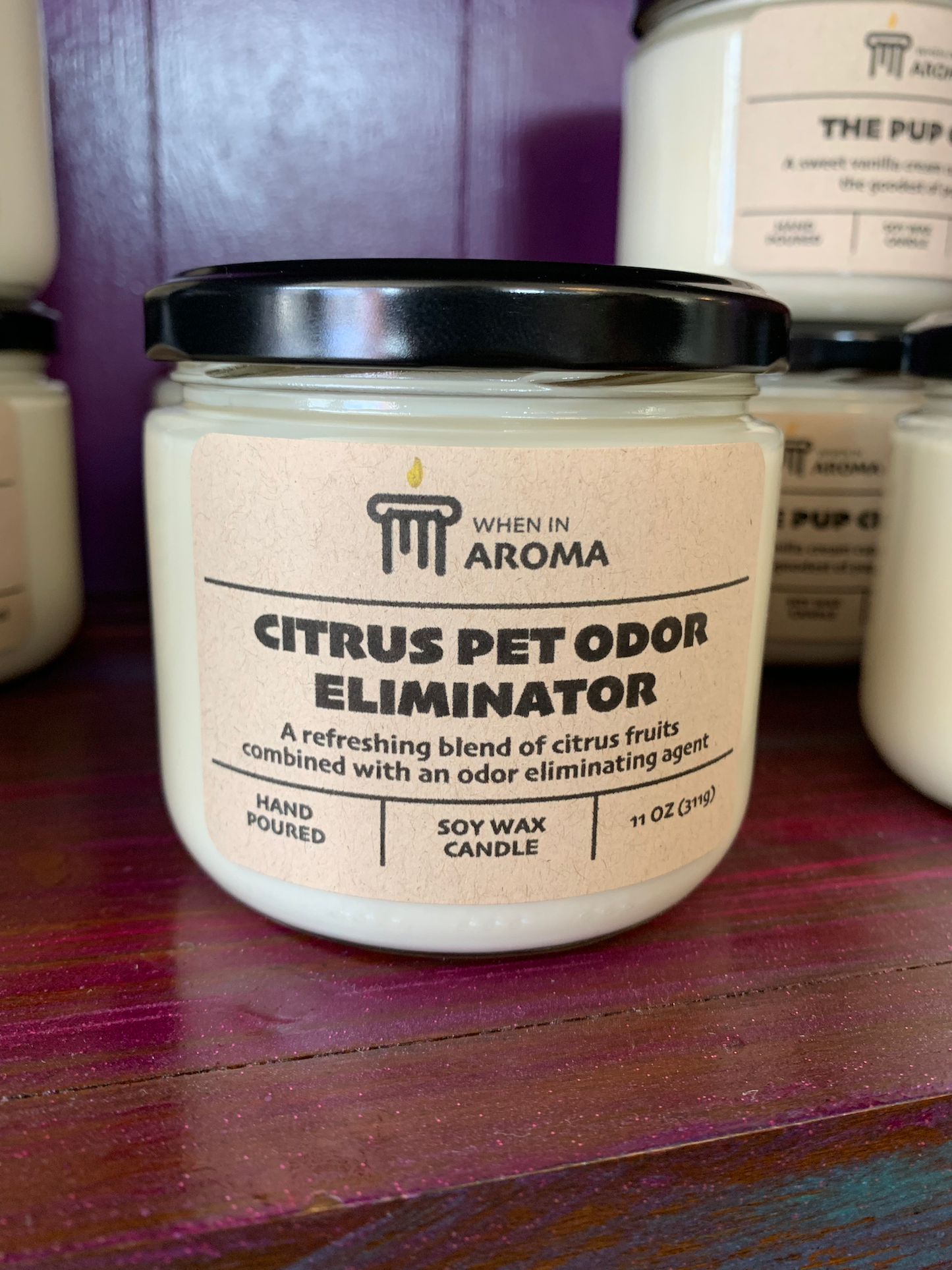 Citrus Pet Odor Eliminator Soy Candle - Pet Shop Candle: 11 oz