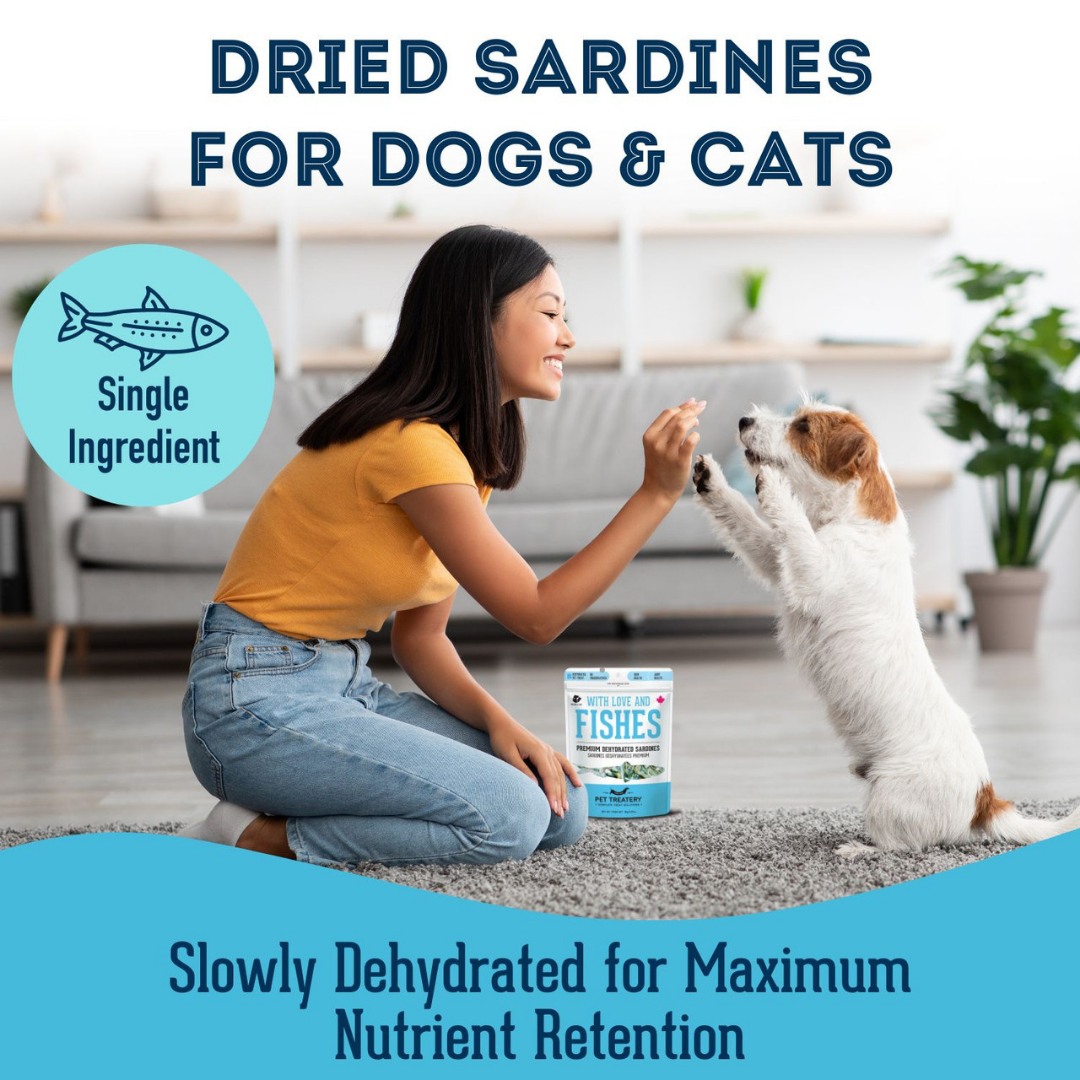NEW!! Sardines Dehydrated Pet Treats: High-Protein & Natural 90g