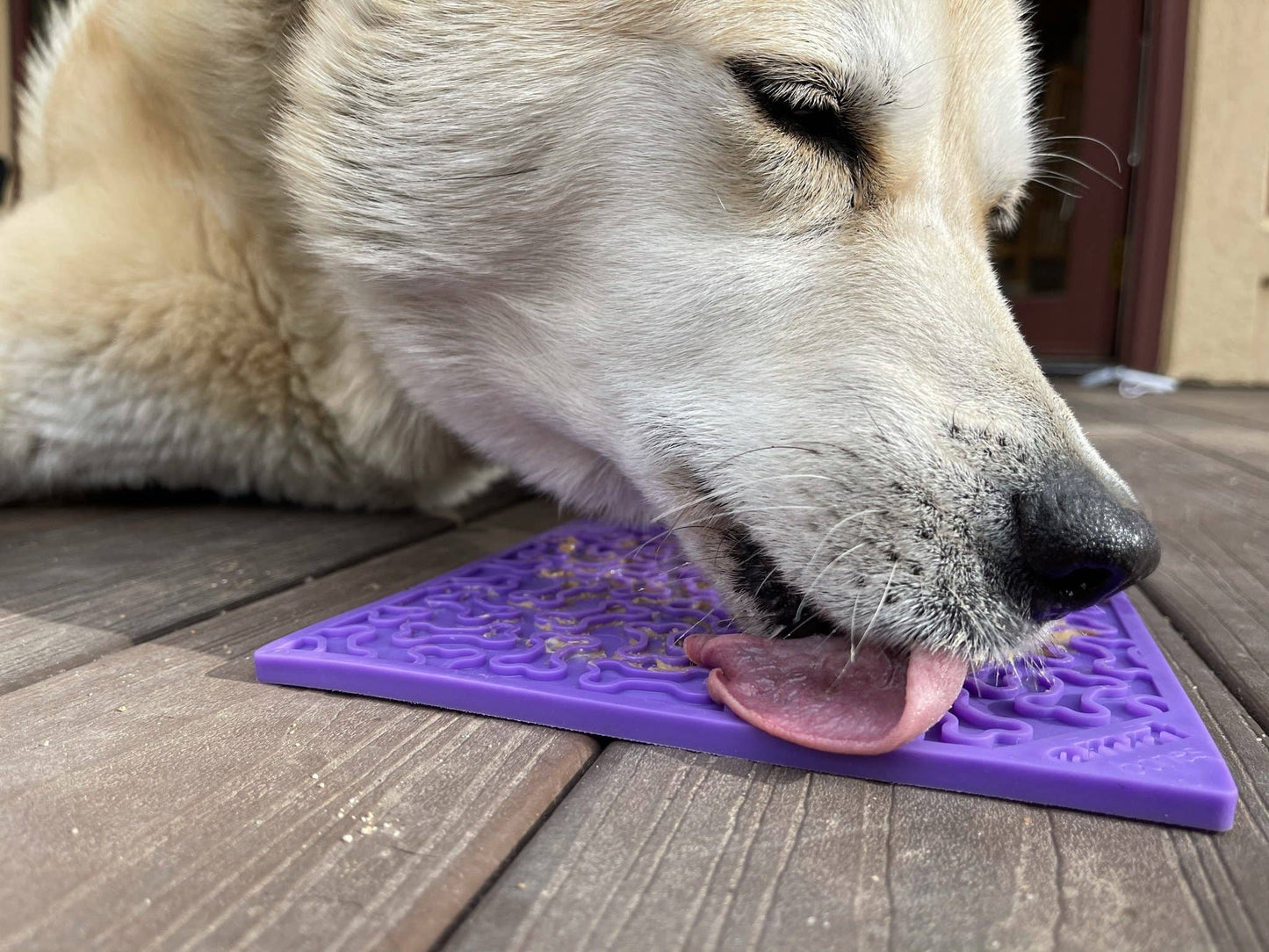 Bones Design Emat Enrichment Licking Mat: Purple Bones E-Mat