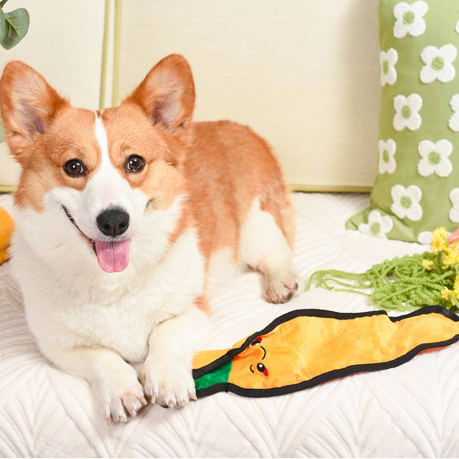 HugSmart Pet - Squeakin’ Vegetables | Carrot - Dog Plush Toy