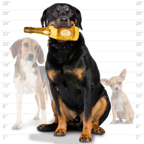 Silly Squeaker Wine Bottle Crispaw, Squeaky Novelty Dog Toy