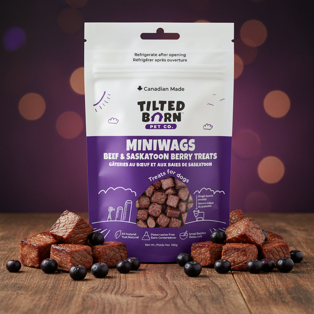Beef & Saskatoon Miniwags Treats