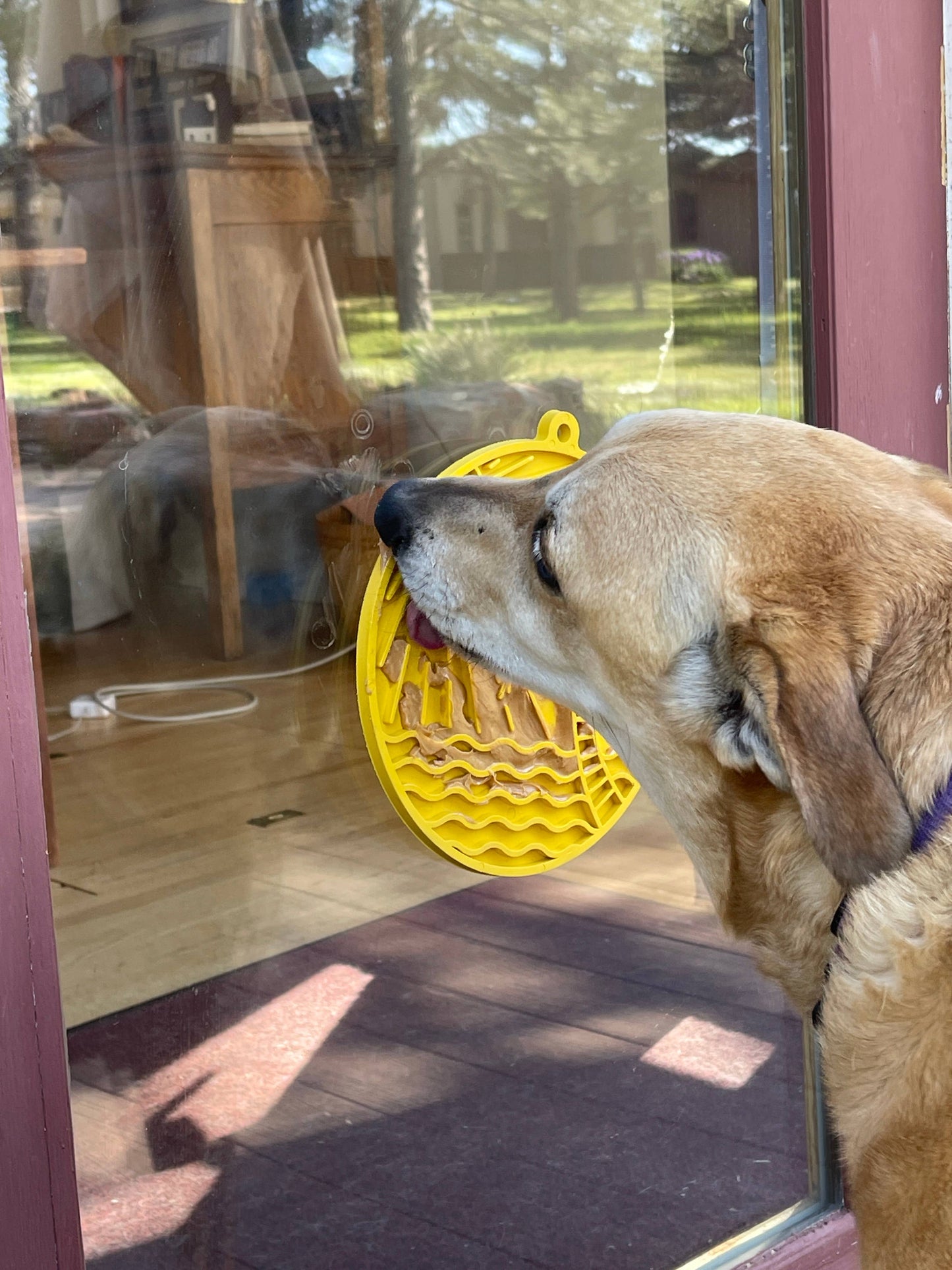 Sun n' Sea eMat Enrichment Lick Mat With Suction Cups: Yellow