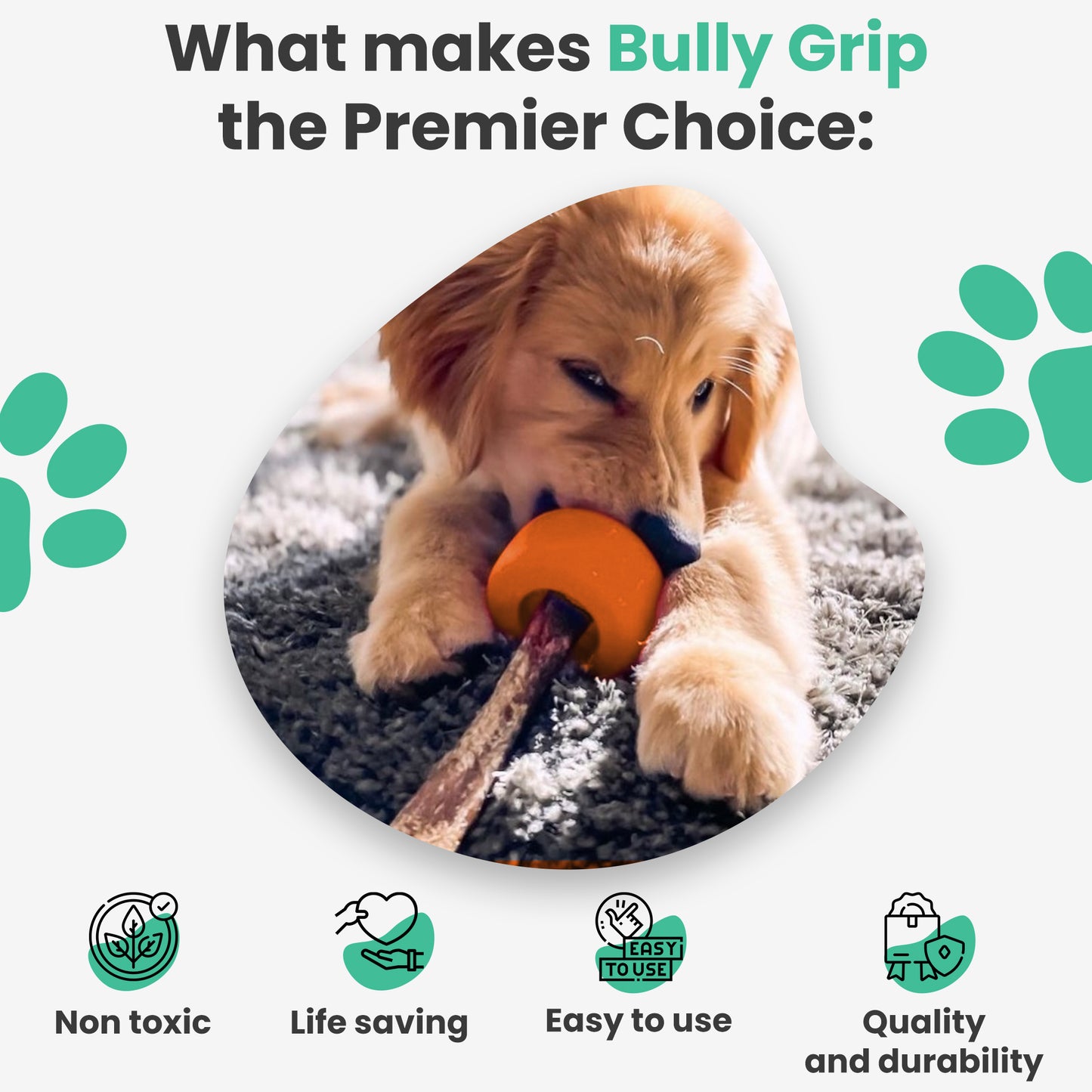 MEDIUM - Bully Stick Holder