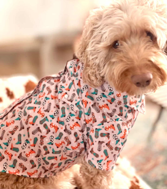 Getting Pet Ready for the Calgary Stampede: Western Style for Dogs, Cats, and; the Humans Who Love Them