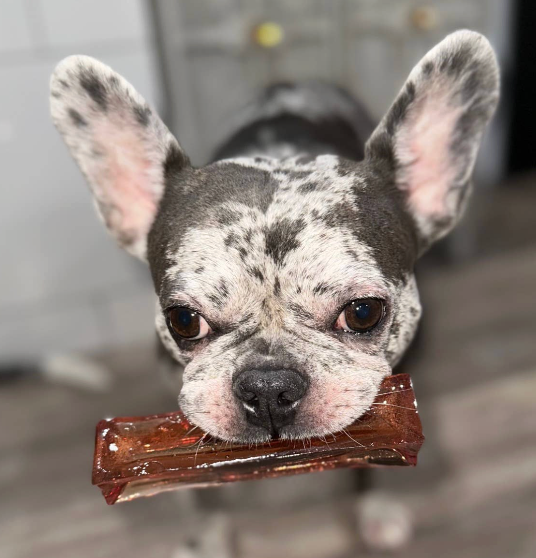 Mighty Marrows Dental Chews Canada | It’s a Pet’s Life