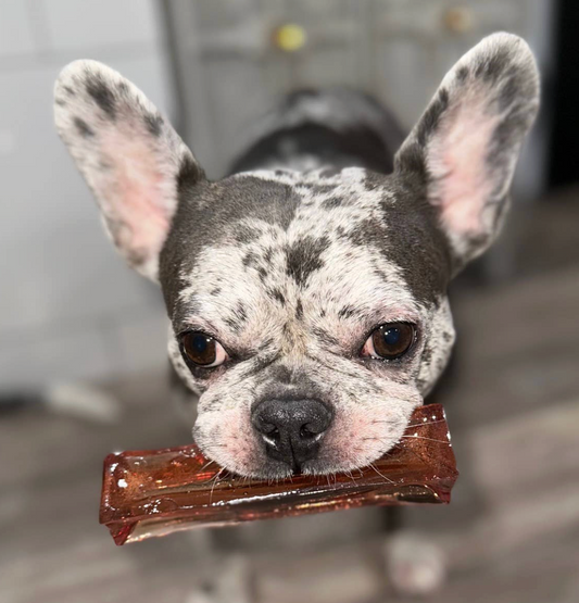 Mighty Marrows Dental Chews Canada | It’s a Pet’s Life