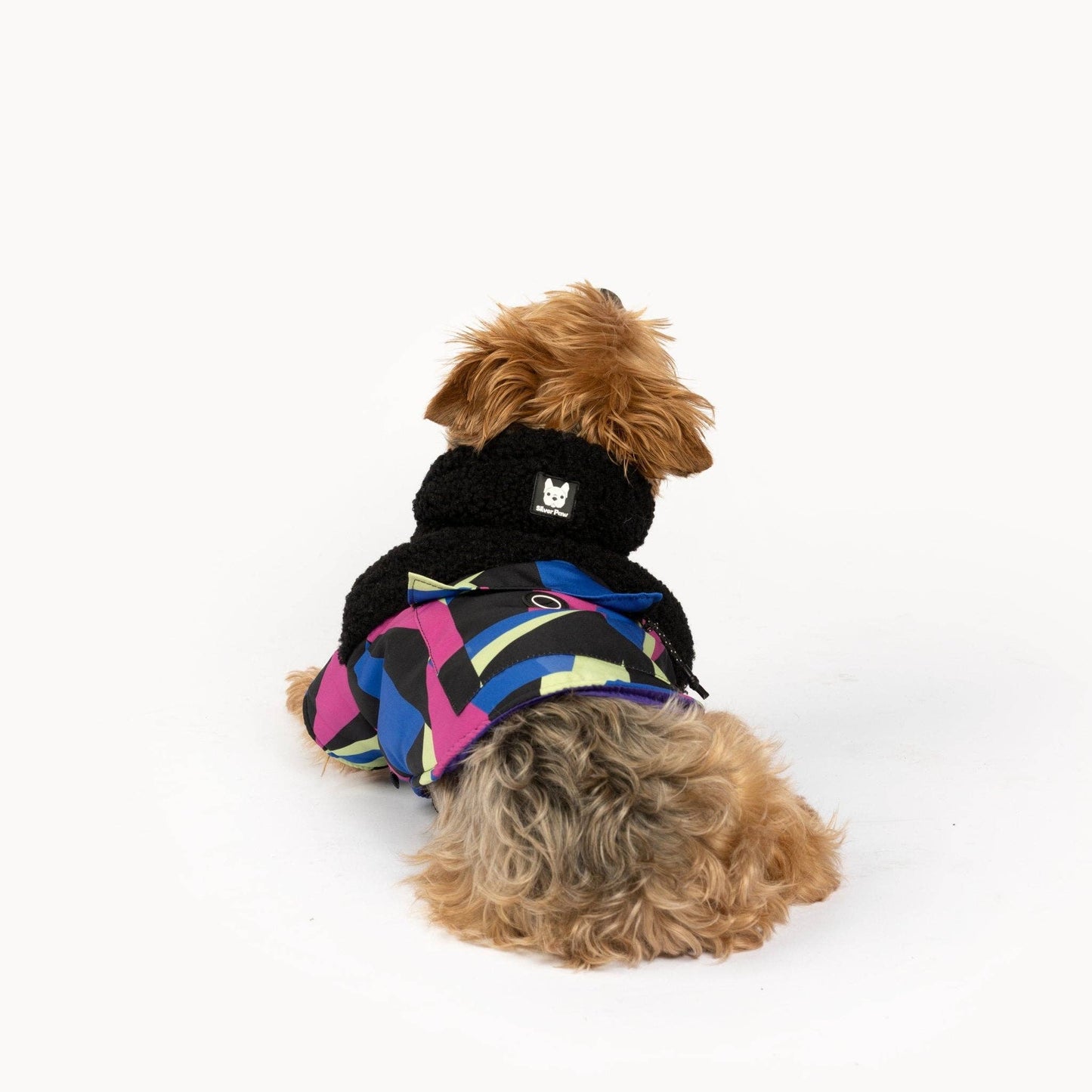 Ingo Dog Jacket-Water-Resistant Coat