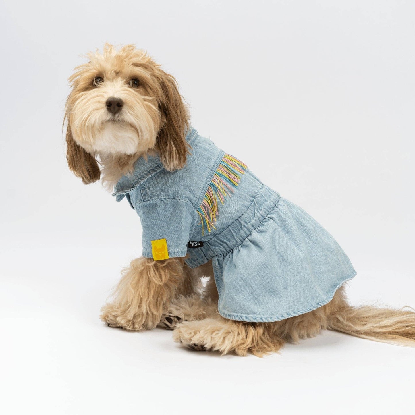 Ocean Denim Dress