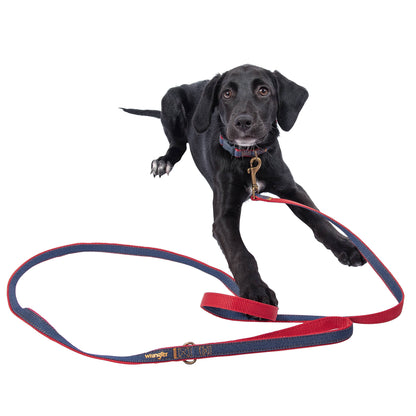 Wrangler Denim Dark Wash Harness/Collar/Lead Set