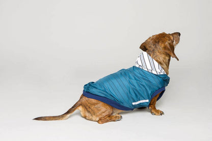 Rain Jacket Jogger & Windbreaker - Teal Blue