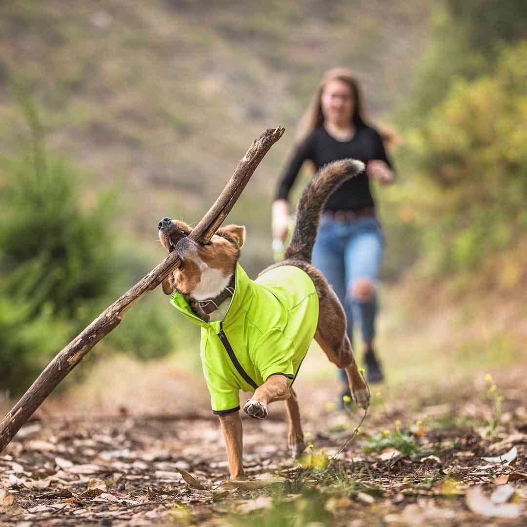 Waterproof Reflective Dog Softshell Jacket: Bright Pink