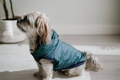 Rain Jacket Jogger & Windbreaker - Teal Blue