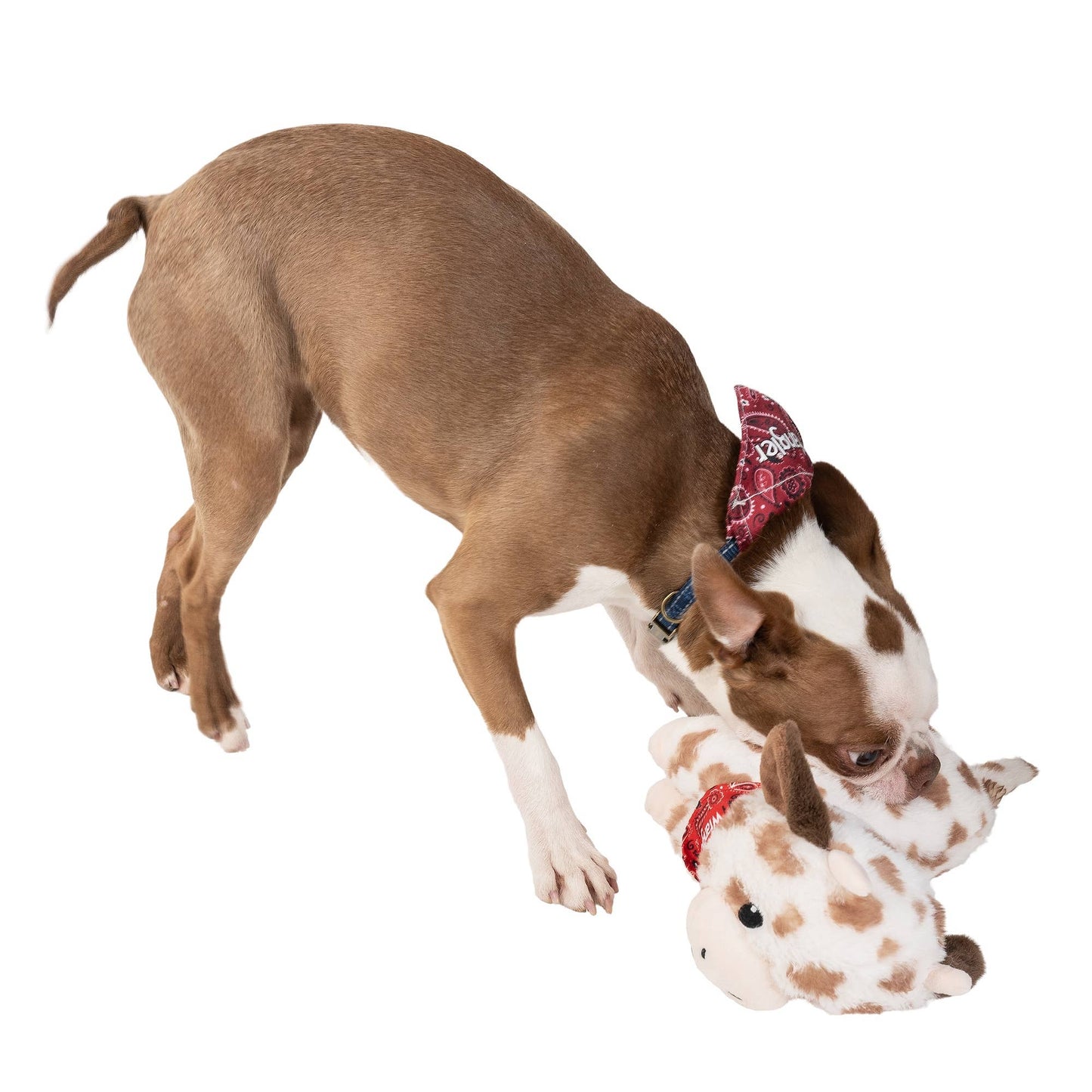 Wrangler Spotted Cow Toy