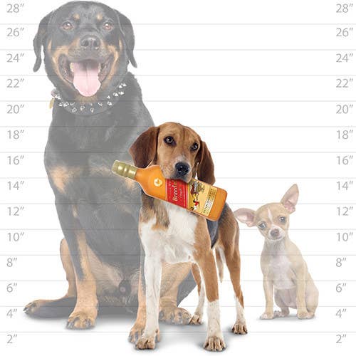 Silly Squeaker Doggie Walker