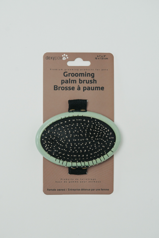 Grooming Palm Brush