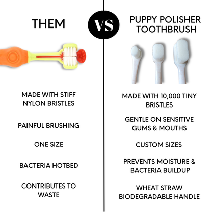 Puppy Polisher Eco Toothbrush - (Med/LG)