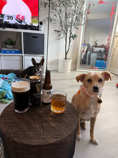 Beer for Dogs! Non-Alcoholic Vitamin Dog Beer