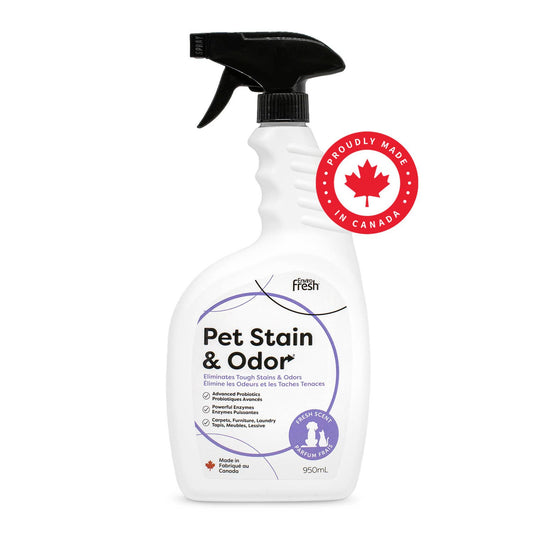Pet Stain & Odor Remover - Fresh Scent