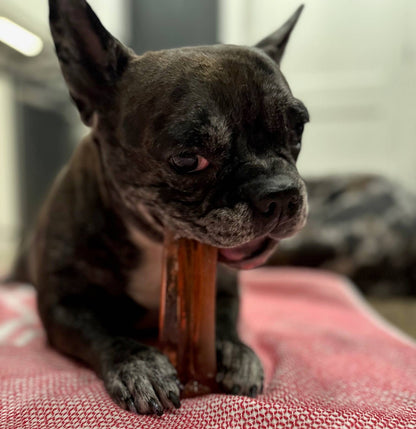 Bacon Collagen Dental Chew 2 Sizes