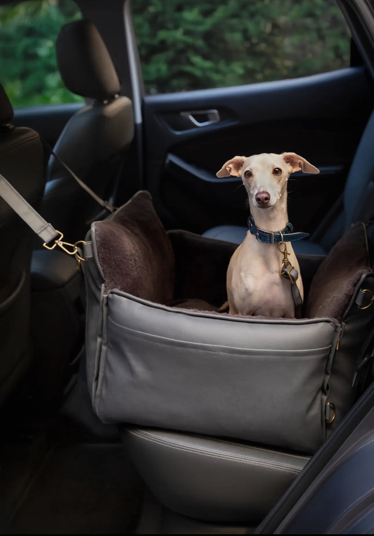 The Best PREMIUM LUXURY DOG CAR SEAT ORTHOPEDIC FOAM, DARK GREY