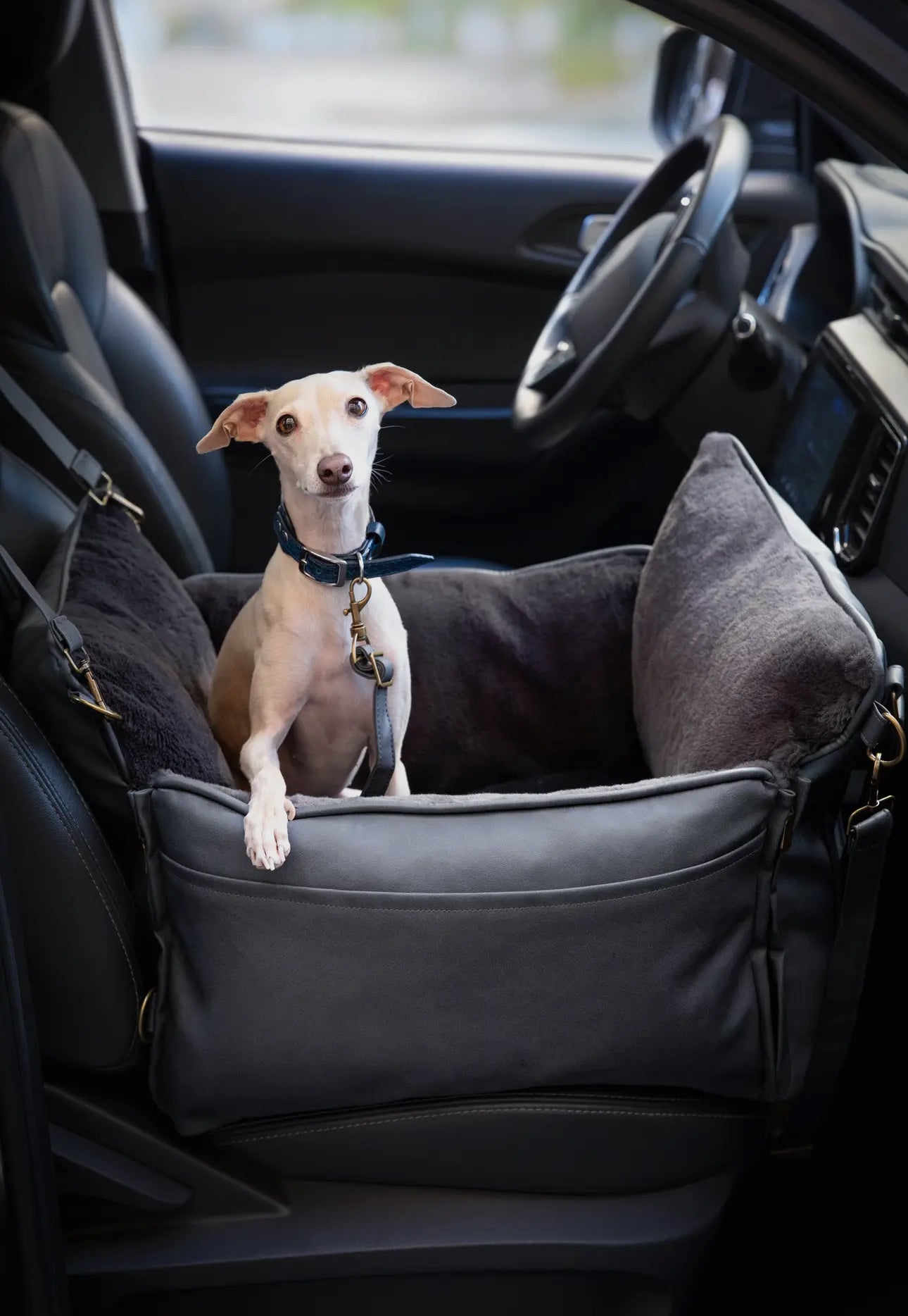 The Best PREMIUM LUXURY DOG CAR SEAT ORTHOPEDIC FOAM, DARK GREY