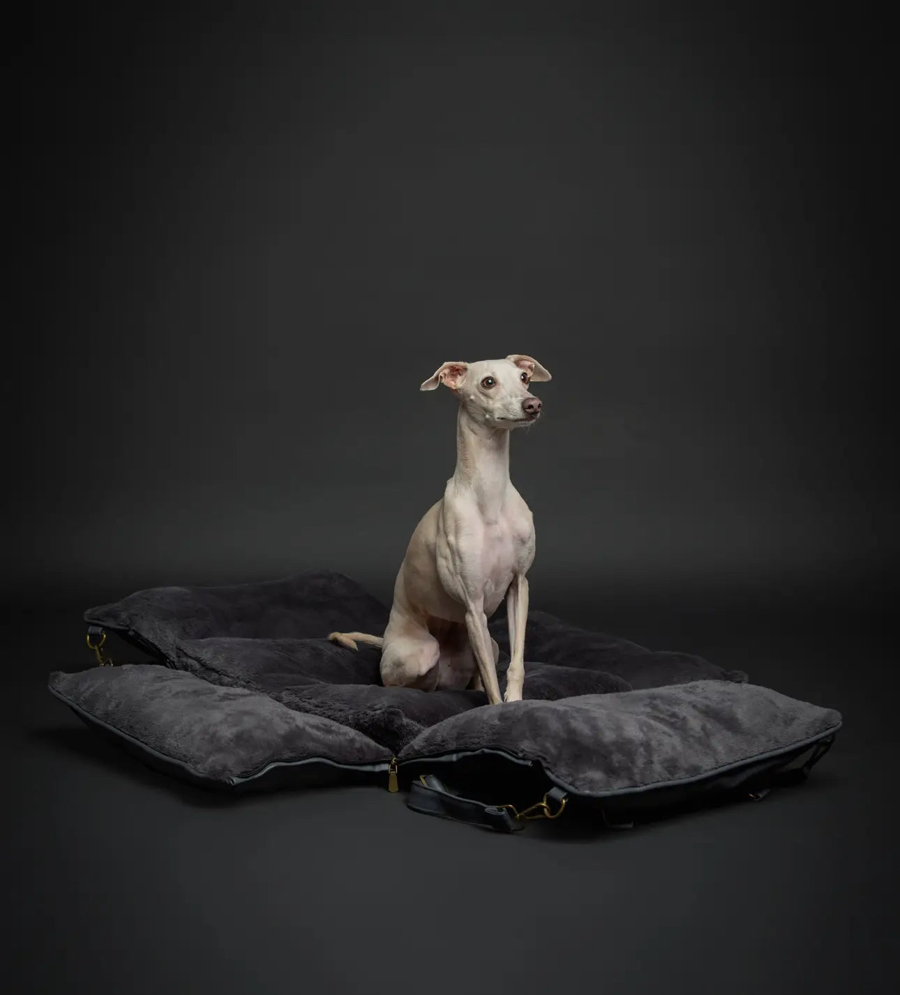 The Best PREMIUM LUXURY DOG CAR SEAT ORTHOPEDIC FOAM, DARK GREY