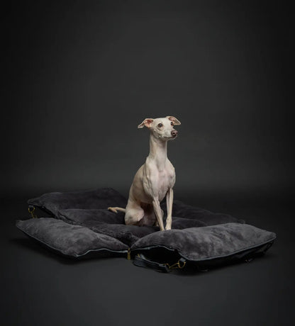 The Best PREMIUM LUXURY DOG CAR SEAT ORTHOPEDIC FOAM, DARK GREY