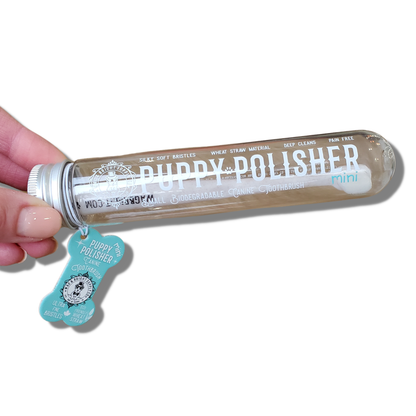 Polisher Mini Eco Toothbrush (Small)