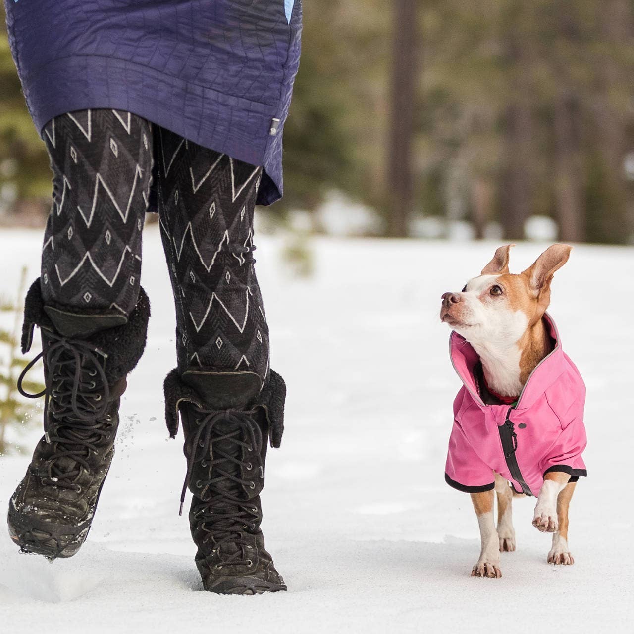Waterproof Reflective Dog Softshell Jacket: Bright Pink