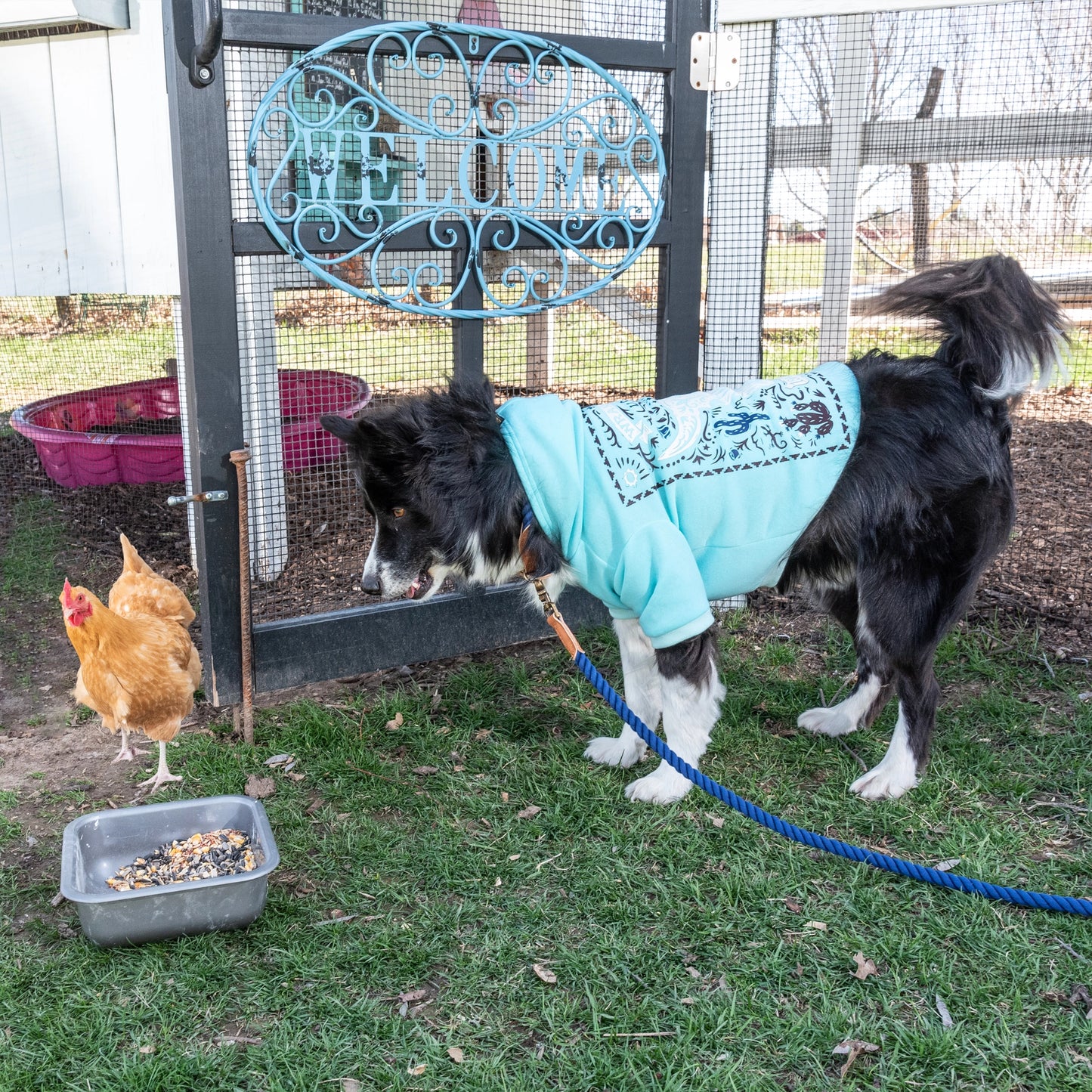 Wrangler Desert Poster Hoodie