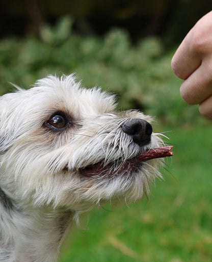 Tilted Barn Garlic Free Beef Dog Treats