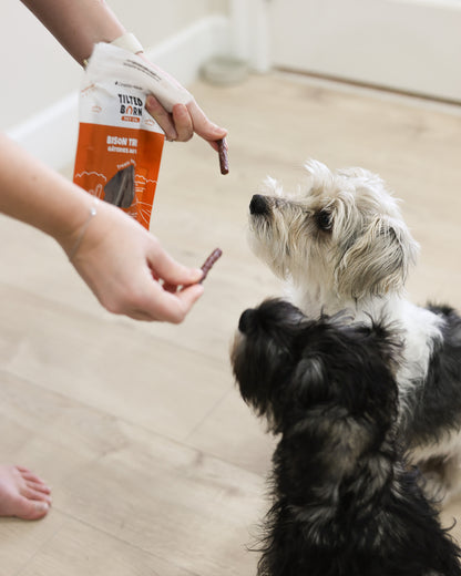 Tilted Barn Bison Miniwag treats