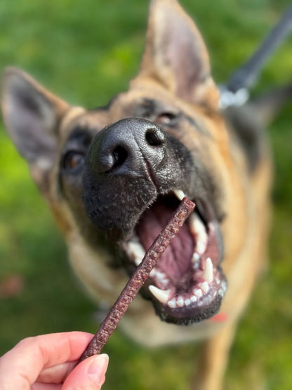Tilted Barn Garlic Free Beef Dog Treats
